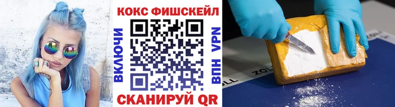COCAIN Fish Scale  гидра ТОР  Балашов 