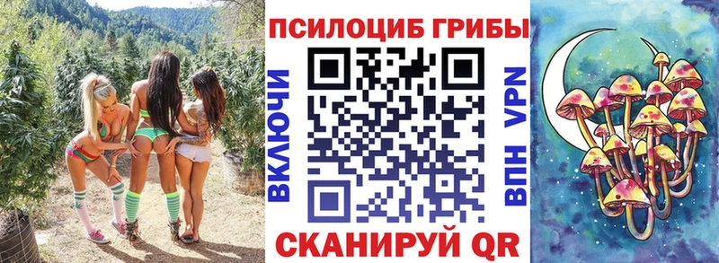 Галлюциногенные грибы MAGIC MUSHROOMS  где можно купить   Балашов 